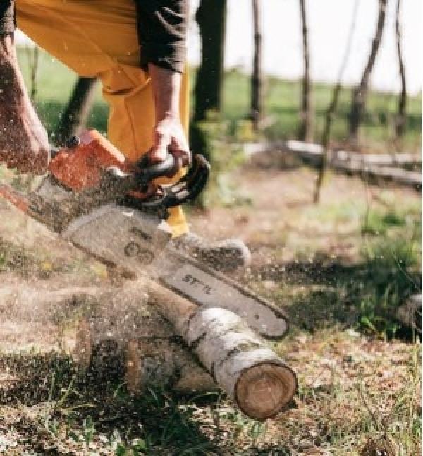 STIHL 